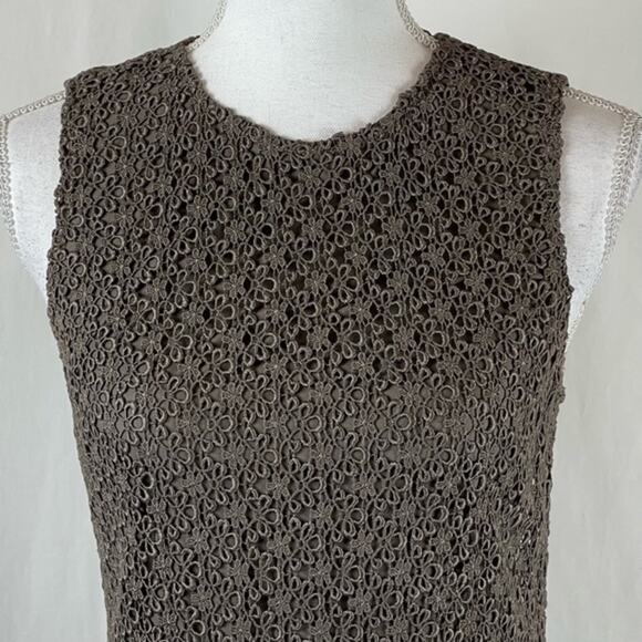 Isabel Ardee Taupe Sheer Floral Lace Fitted Cottage Feminine Dress Size 4 - Picture 3 of 12